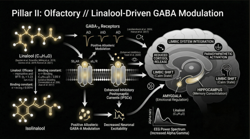 Linalool_GABA_Modulation